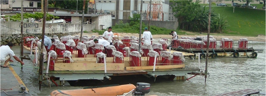 balsa florianópolis